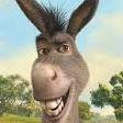 gabeK_7 avatar