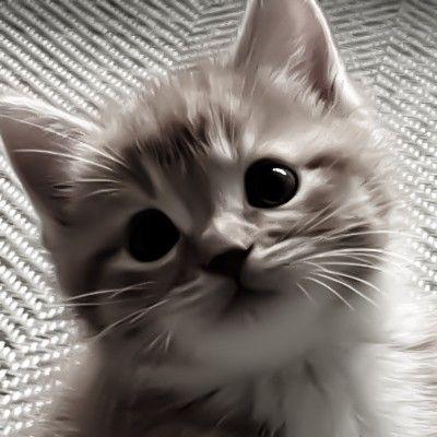 _MAYOR4IK_ avatar
