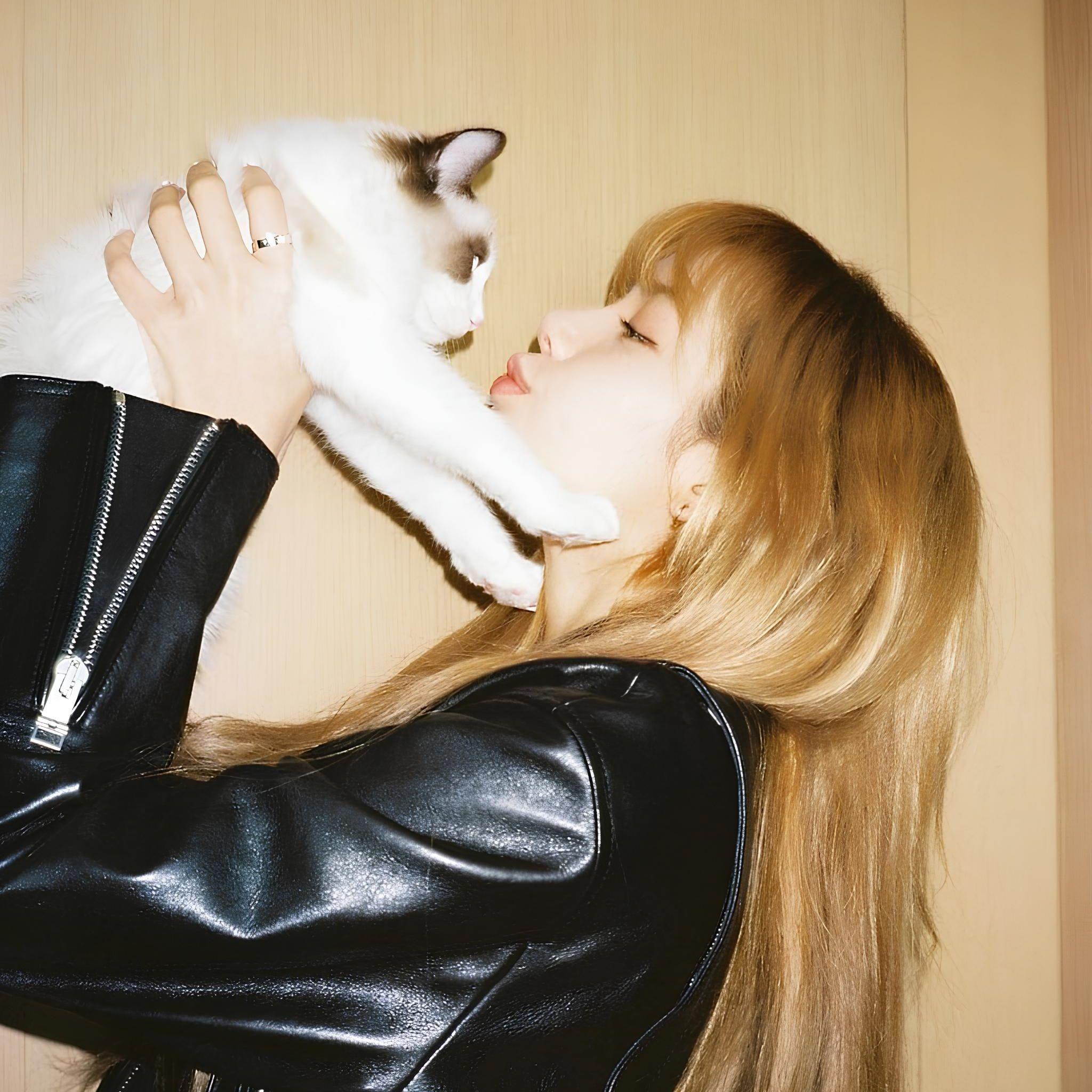 KimSooya avatar