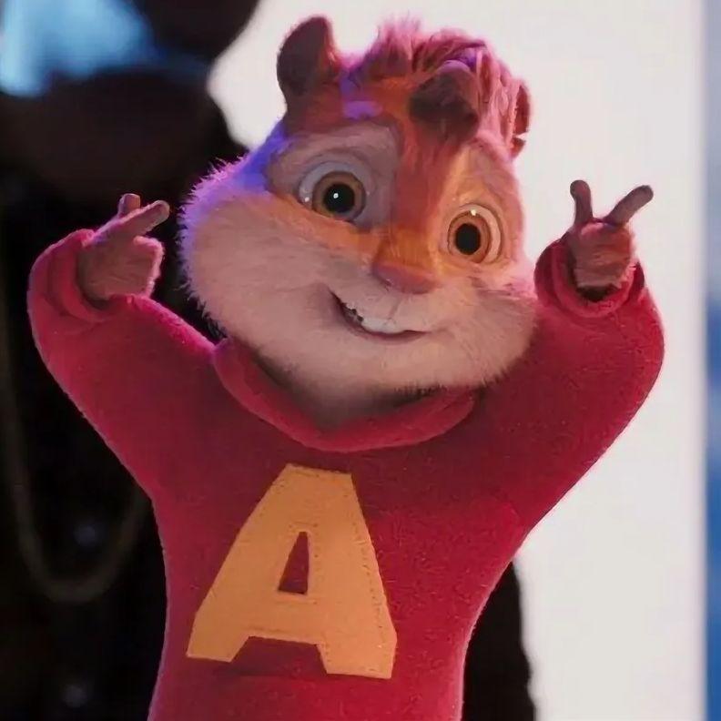 yocv avatar