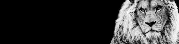 Faceit banner for @janam