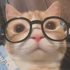 BdpAlejandro avatar
