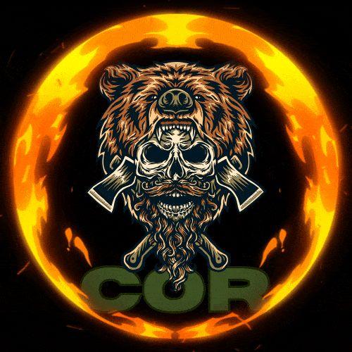 BerkayCOR avatar