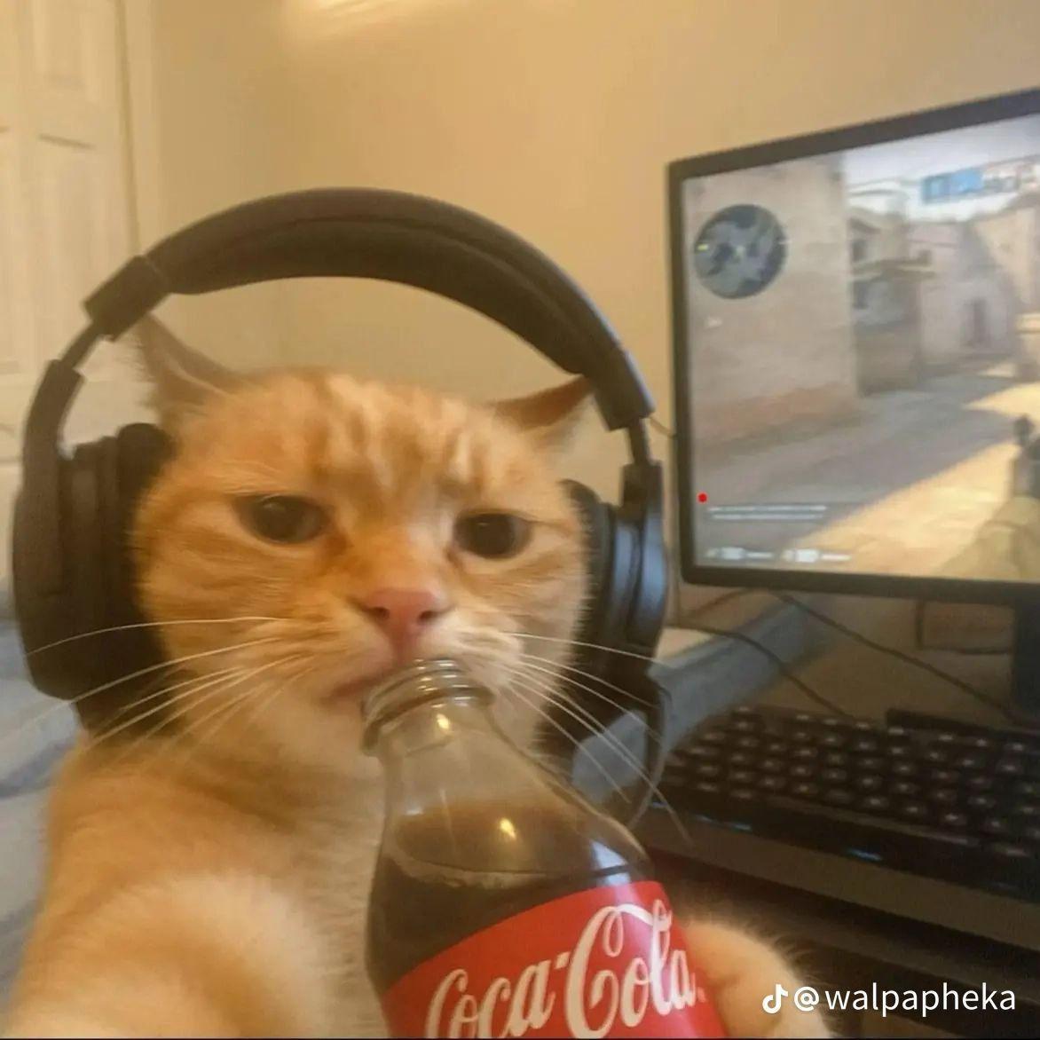 ex0st avatar
