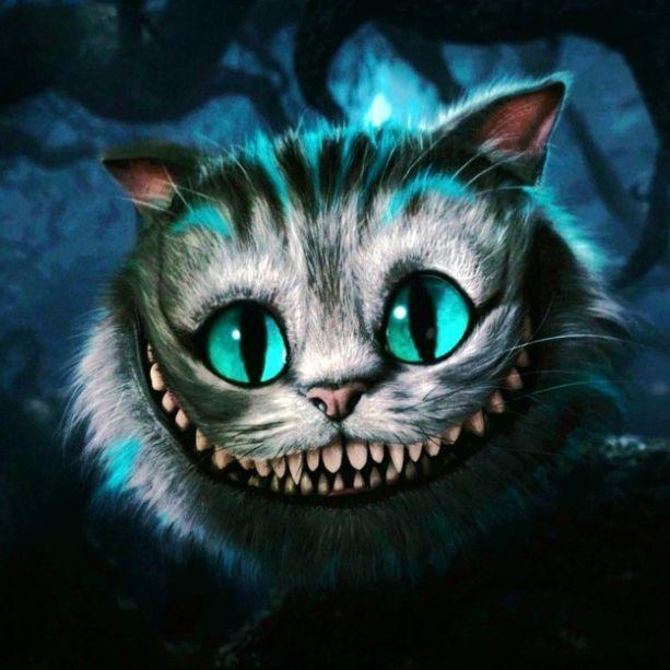 SalenoiD avatar