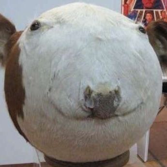 Thabooble