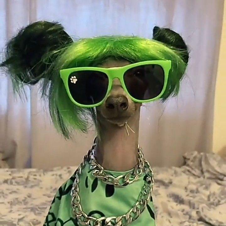 N1H00Ya avatar