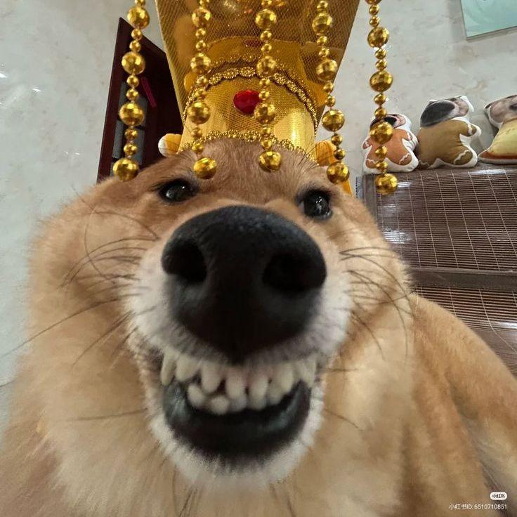 Amb1verto avatar