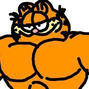 garfieldd1 avatar