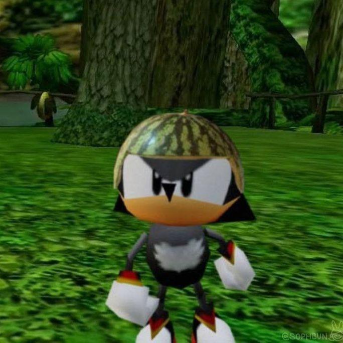 seeweze avatar
