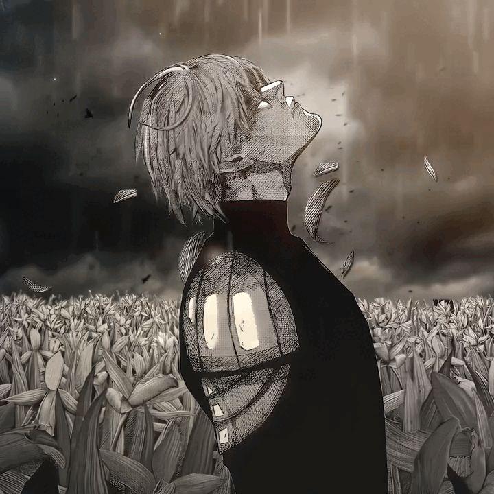 wvstebtw avatar