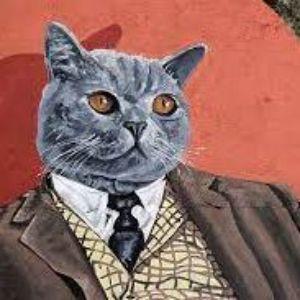 DunkyFund avatar