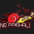 NE PRIEHALI