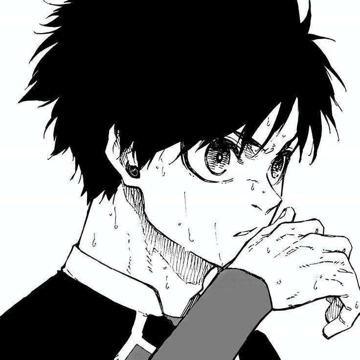 staro84q avatar