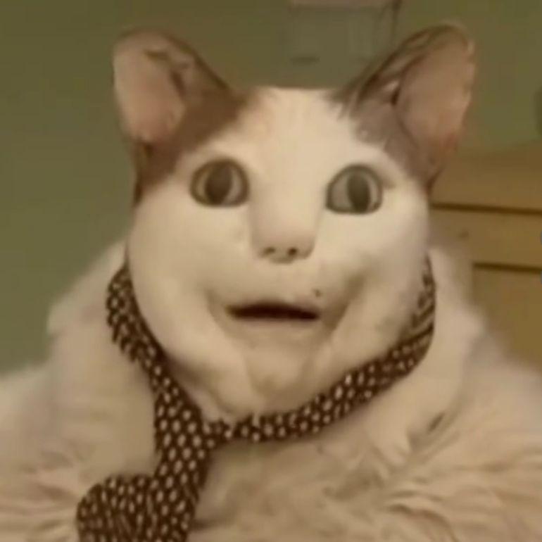 Man1ek_96 avatar