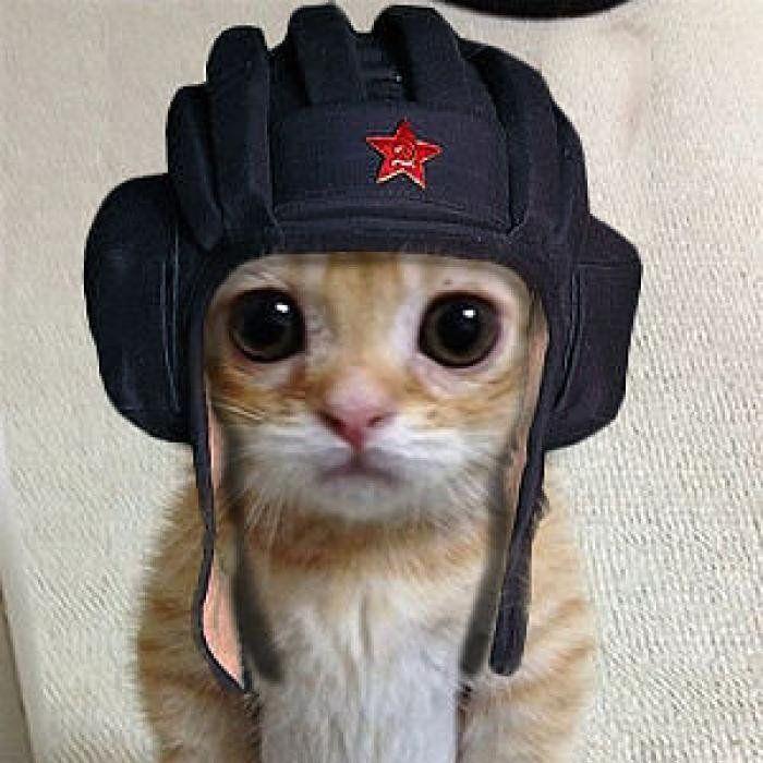 _zench_ avatar
