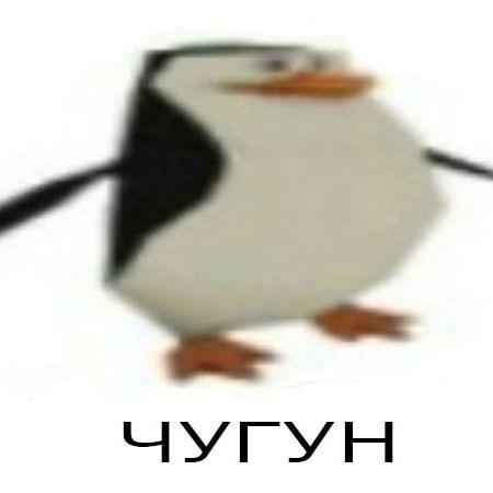 Dap1r_ avatar