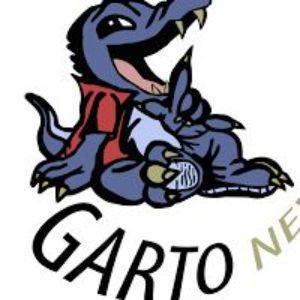 Player g4rto avatar