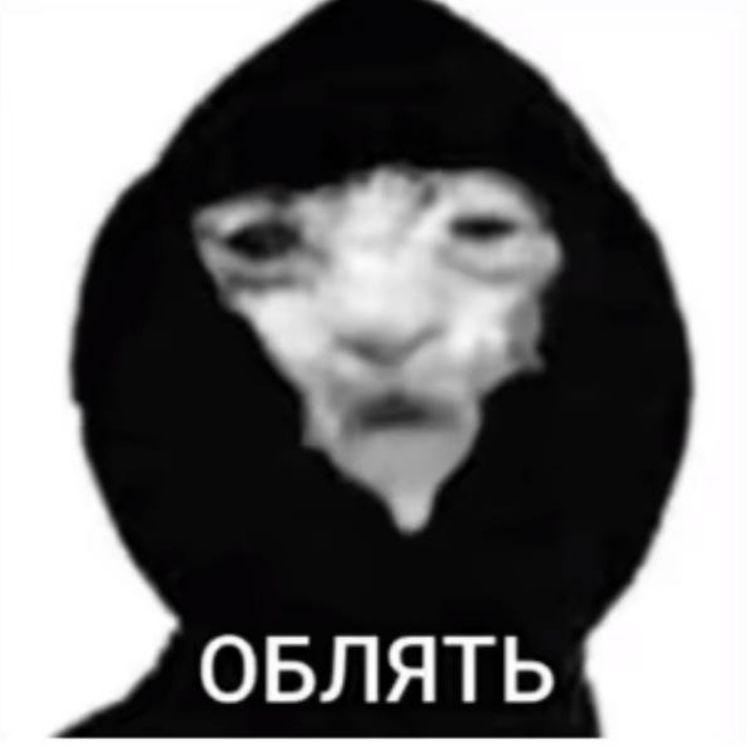 Paolo2 avatar