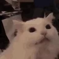 jakexz