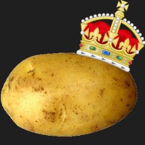 PotatoKing0 avatar