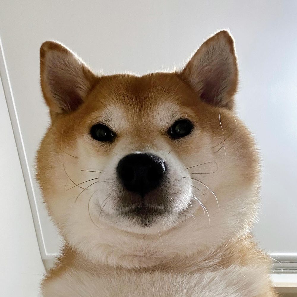 satoshi-