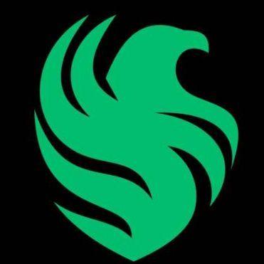 VSDK avatar