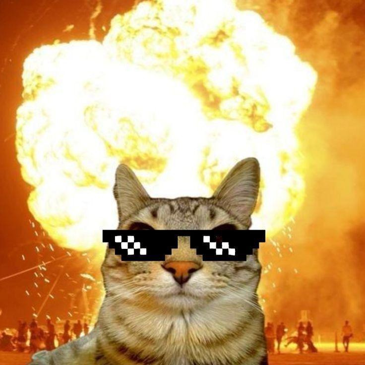 Boyarskiy10 avatar