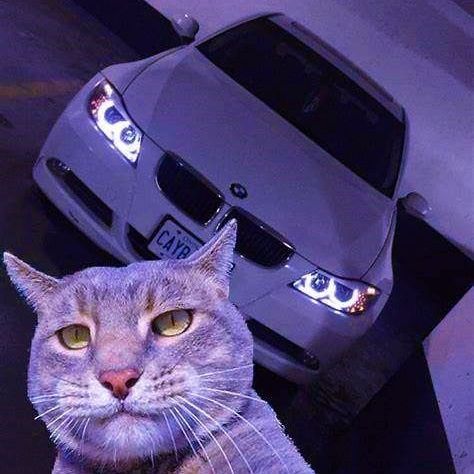 Ataman06