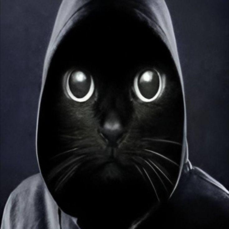 J0netsu avatar