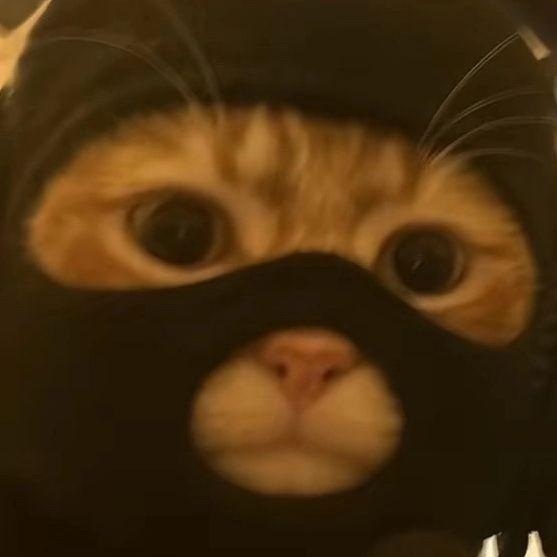 yachepuxa avatar