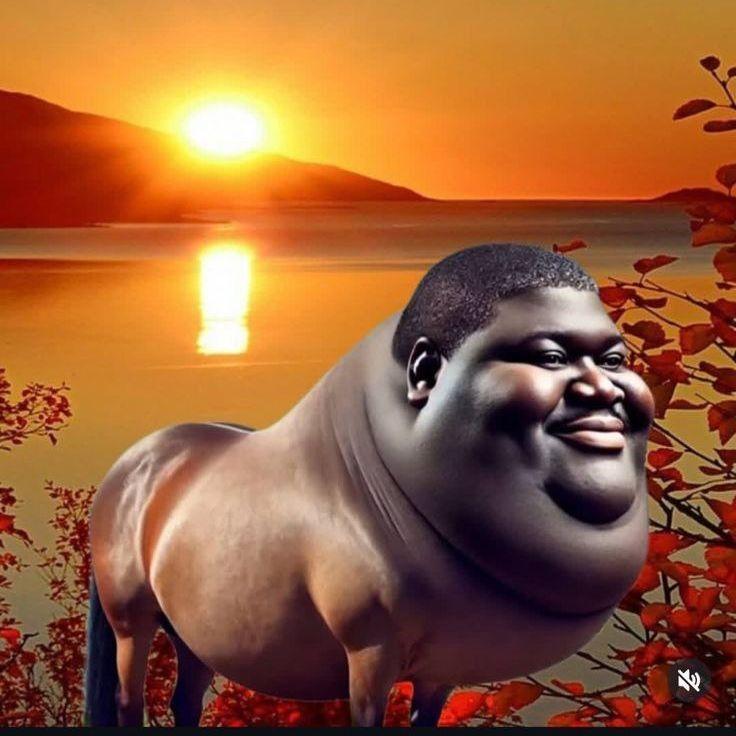 jui7ka avatar