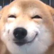 bonk_-_