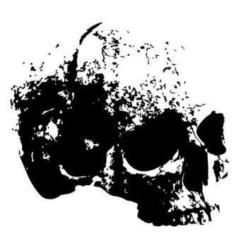 nemonoob avatar