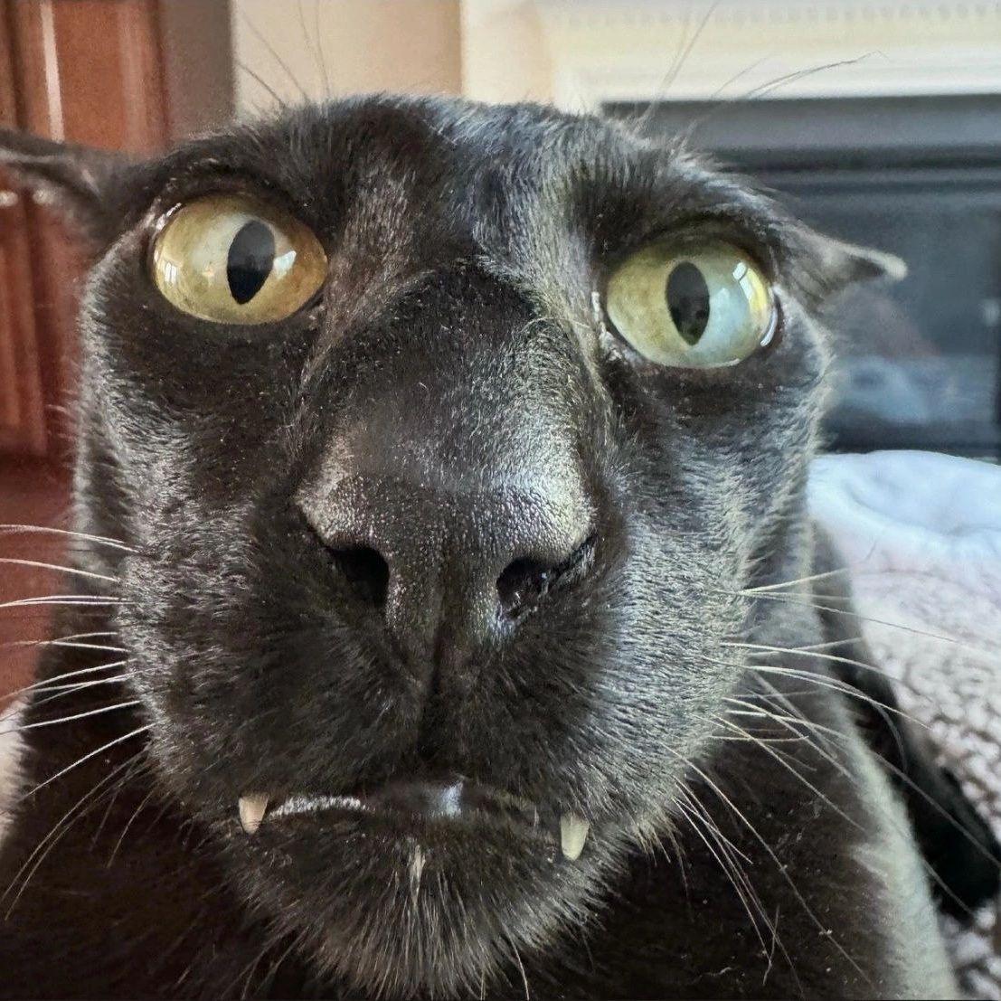 NuKKeK avatar