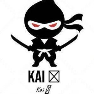 Player Kai19o7 avatar