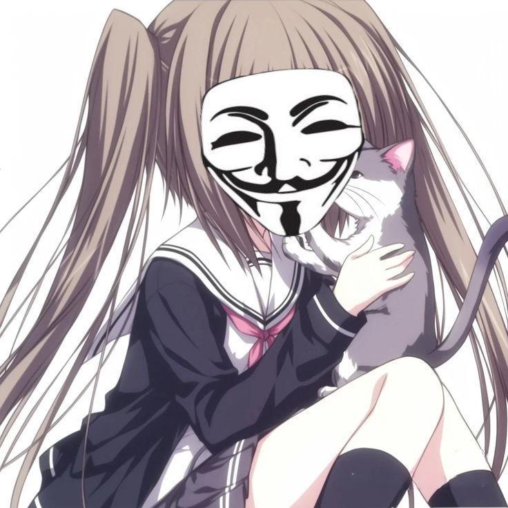 t0rdi avatar