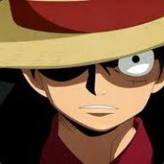 team_Luffy1313