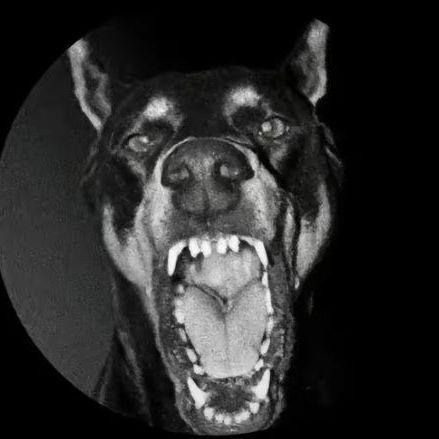yanache avatar