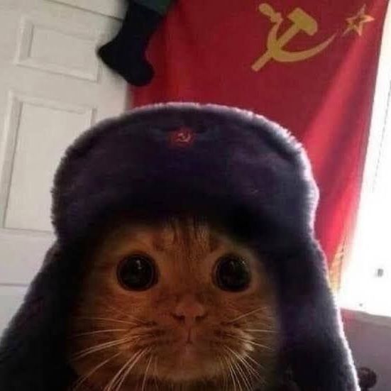 Eveo