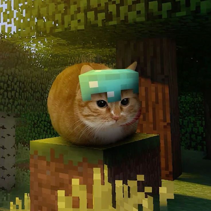 takq_