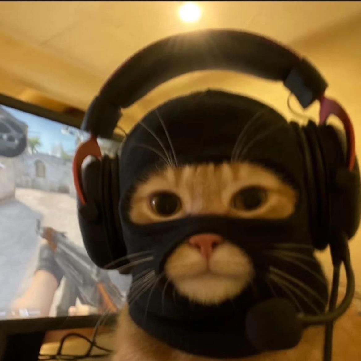 Coledo1 avatar