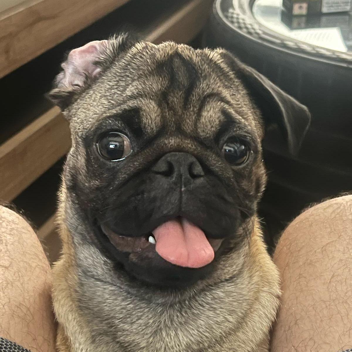 -BERKO-