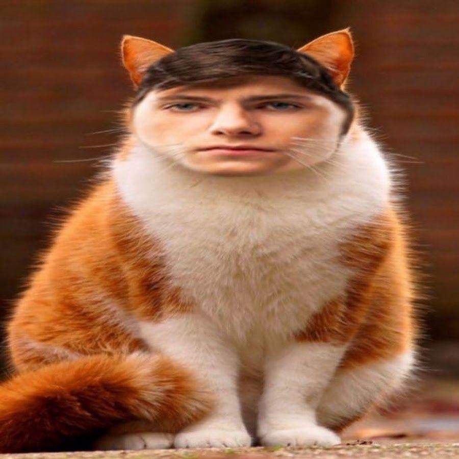 spatkisss avatar