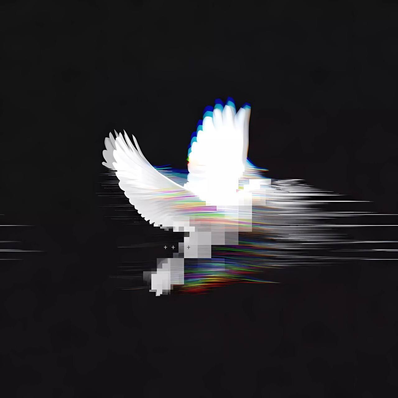 reisenshi avatar