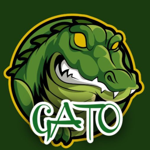 Team Gato