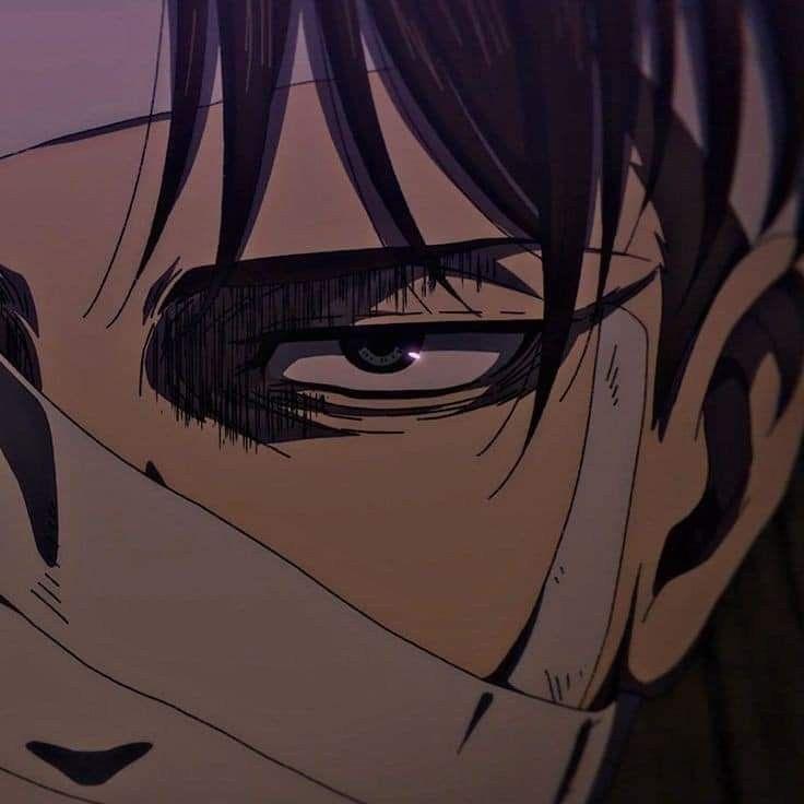 sndl0 avatar