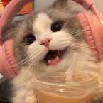 MEDUSAx1