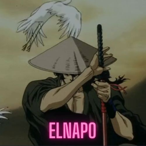 Elnapo Ladder