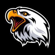 Team Eagles